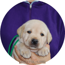 男の子(グリーン母マリー)
